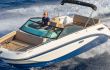 Sea Ray SDX 250