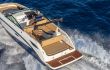Sea Ray SDX 250