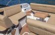 Sea Ray SDX 250