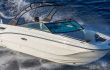 Sea Ray SDX 250 OB