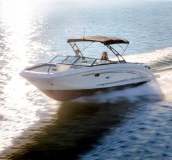 Sea Ray SDX series