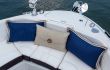 Sea Ray SLX 310