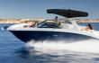 Sea Ray SDX 270