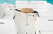 Sea Ray SDX 270