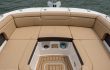 Sea Ray SDX 290