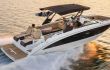 Sea Ray SDX 290