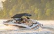 Sea Ray SDX 290