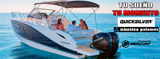 Quicksilver Activ 875 Sundeck