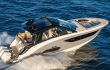 Sea Ray Sundancer 370 Outboard