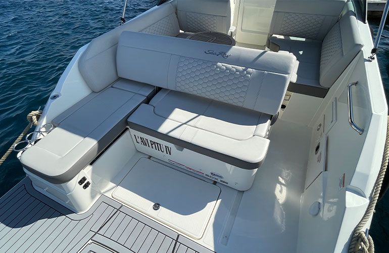 Sea Ray 250 SDX fueraborda-23