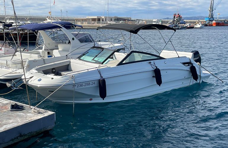 Sea Ray 250 SDX fueraborda-5