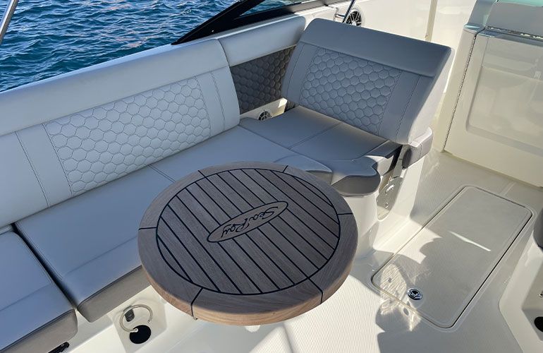 Sea Ray 250 SDX fueraborda-22