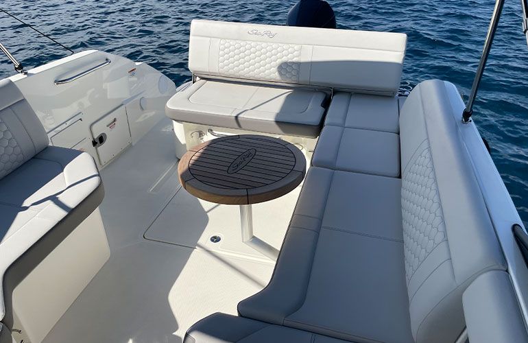 Sea Ray 250 SDX fueraborda-20