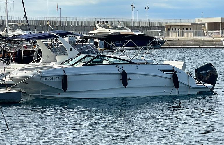 Sea Ray 250 SDX fueraborda-3