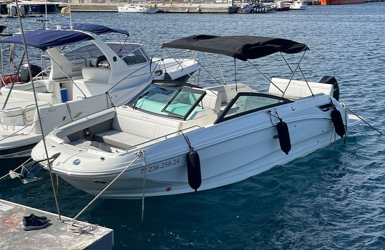 Sea Ray 250 SDX fueraborda-1