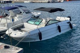 Sea Ray 250 SDX fueraborda-1