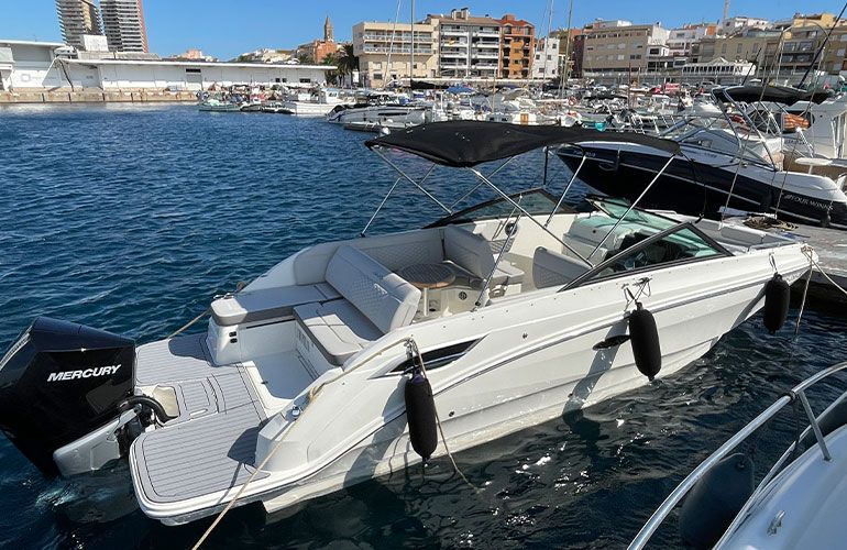 Sea Ray 250 SDX fueraborda-4