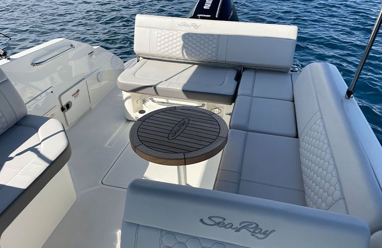 Sea Ray 250 SDX fueraborda-21